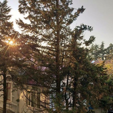 Boulevard Apartment باتومي المظهر الخارجي الصورة